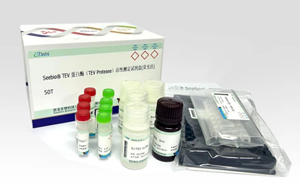 深度求索“TEV 蛋白酶”應用場景與檢測