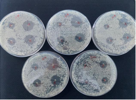 打孔法實驗圖片1/10