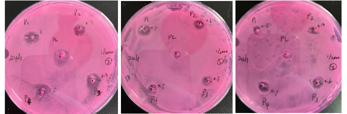 1/2000實(shí)驗(yàn)圖片