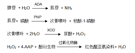 腺苷脫氨酶(ADA)過氧化物酶法檢測(cè)原理 腺苷脫氨酶(ADA)過氧化物酶法檢測(cè)原理