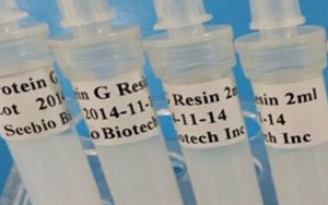 西寶生物 rProtein G SeePUR重組蛋白G親和層析預(yù)裝柱/填料系列產(chǎn)品-用于抗體純化！