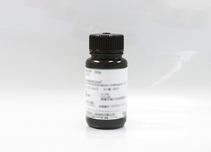 蛋白穩(wěn)定劑TGBP