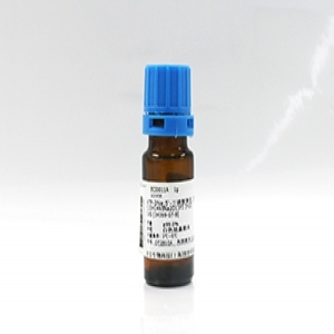 Seebio? 綿羊IgG-Sepharose?