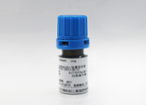 ☆蛋白酶K(凍干粉) ☆蛋白酶K(凍干粉)